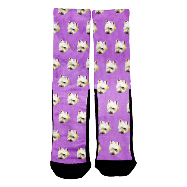 Custom Pet Socks