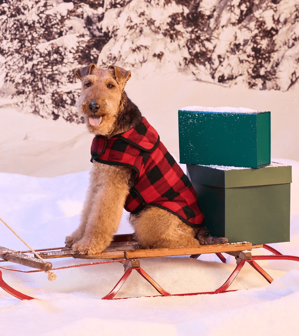 2025 Holiday Gift Guide - Sew Dreams Come True