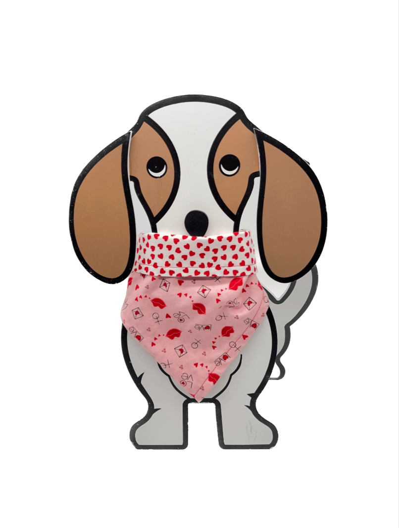 Valentine's Dog Bib